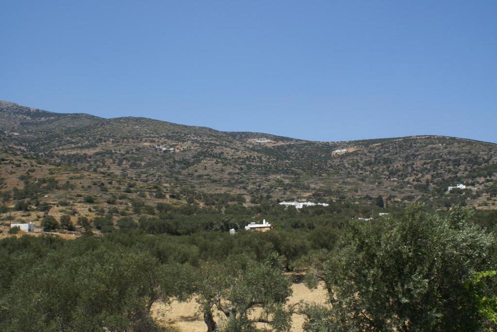 Platis Gialos  Villa Antoniadis מראה חיצוני תמונה